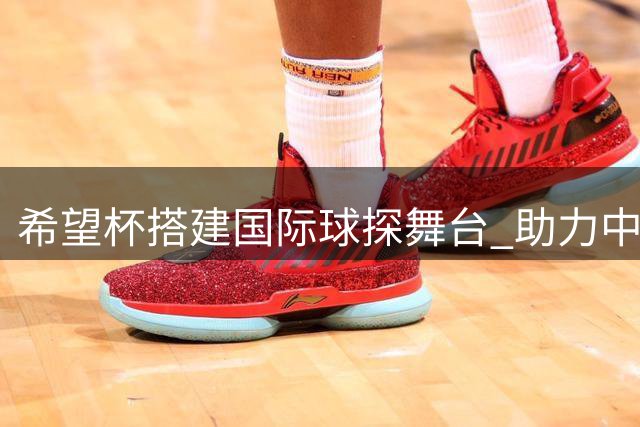 希望杯搭建国际球探舞台 助力中国足球少年走向世界