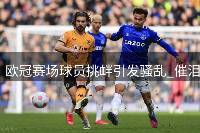 欧冠赛场球员挑衅引发骚乱 催泪瓦斯平息冲突