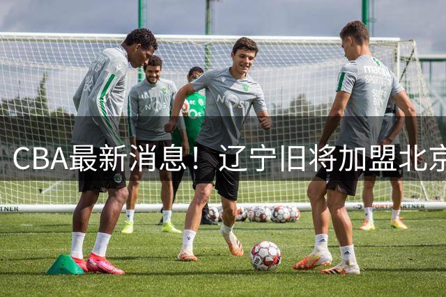 CBA最新消息！辽宁旧将加盟北京首钢，青岛男篮签约超级外援